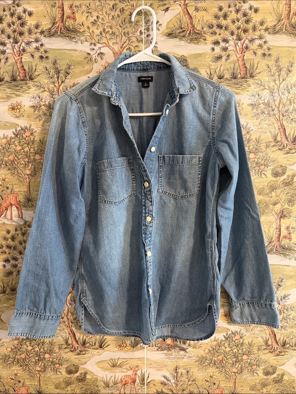 J. Crew Light Blue Denim Button-Down Shirt